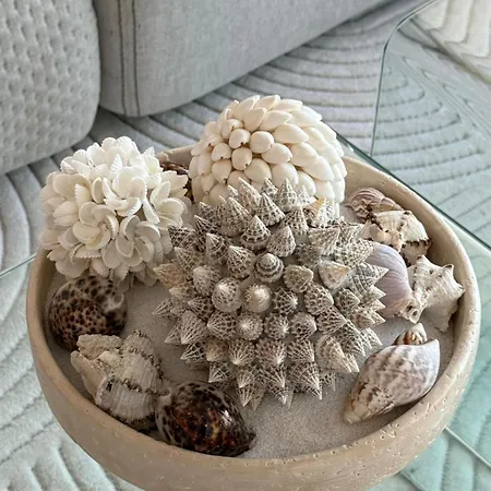 Vue 45m2 Avec Grande Terrasse 20m2 *